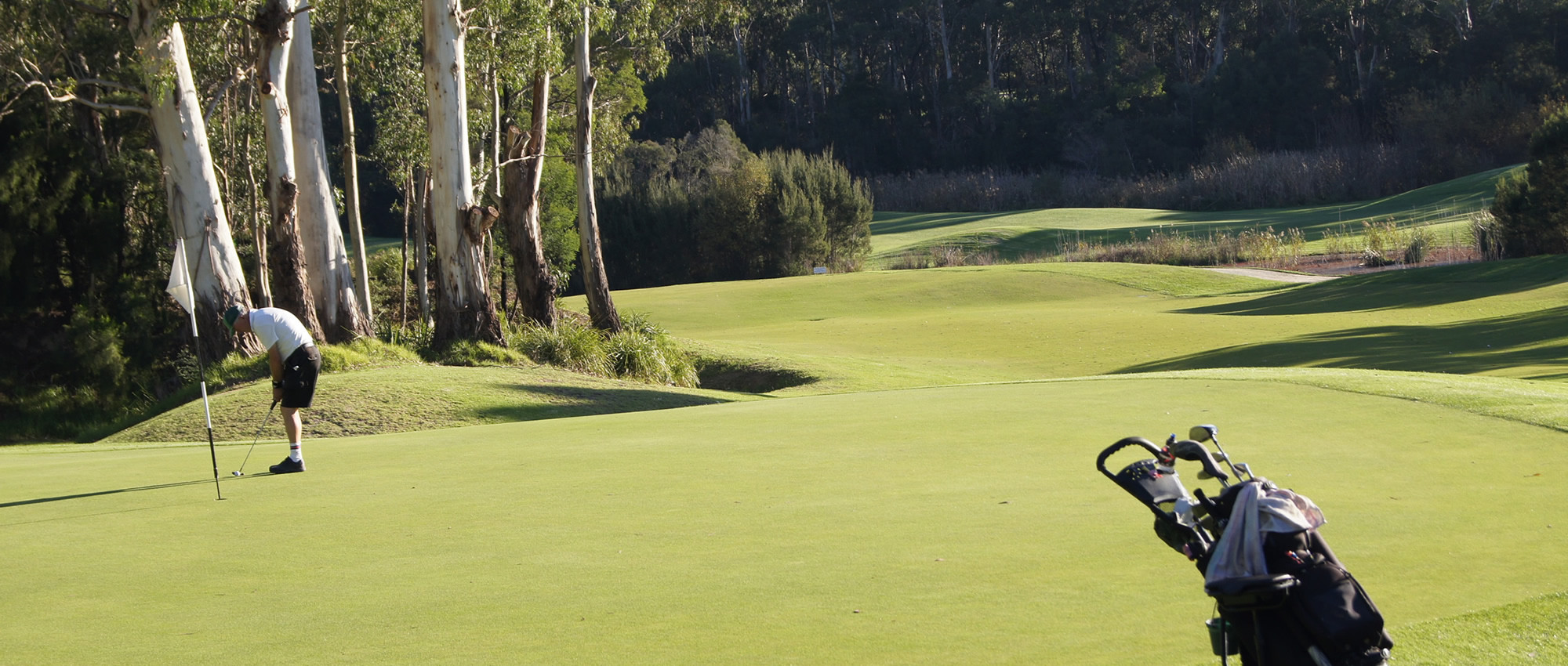 17th Berwick Montuna Golf Club