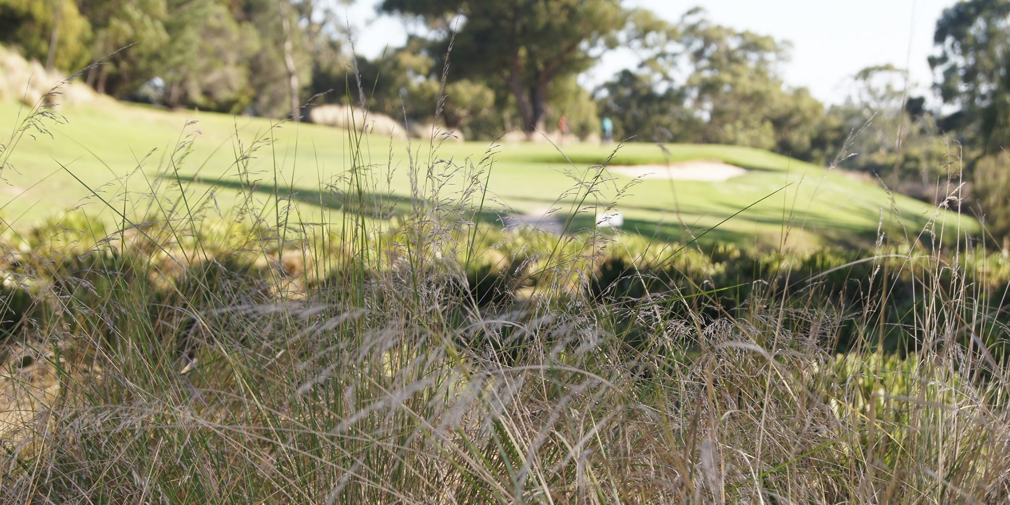 9th Berwick Montuna Golf Club