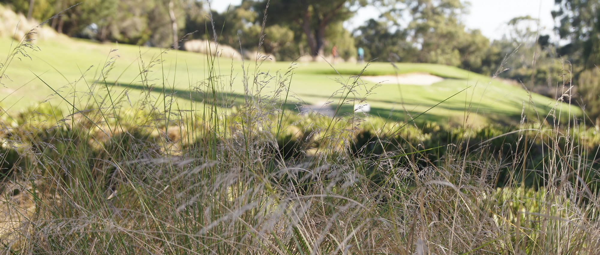 9th Berwick Montuna Golf Club