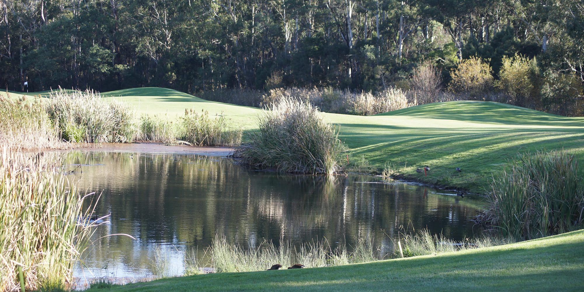 10th Berwick Montuna Golf Club
