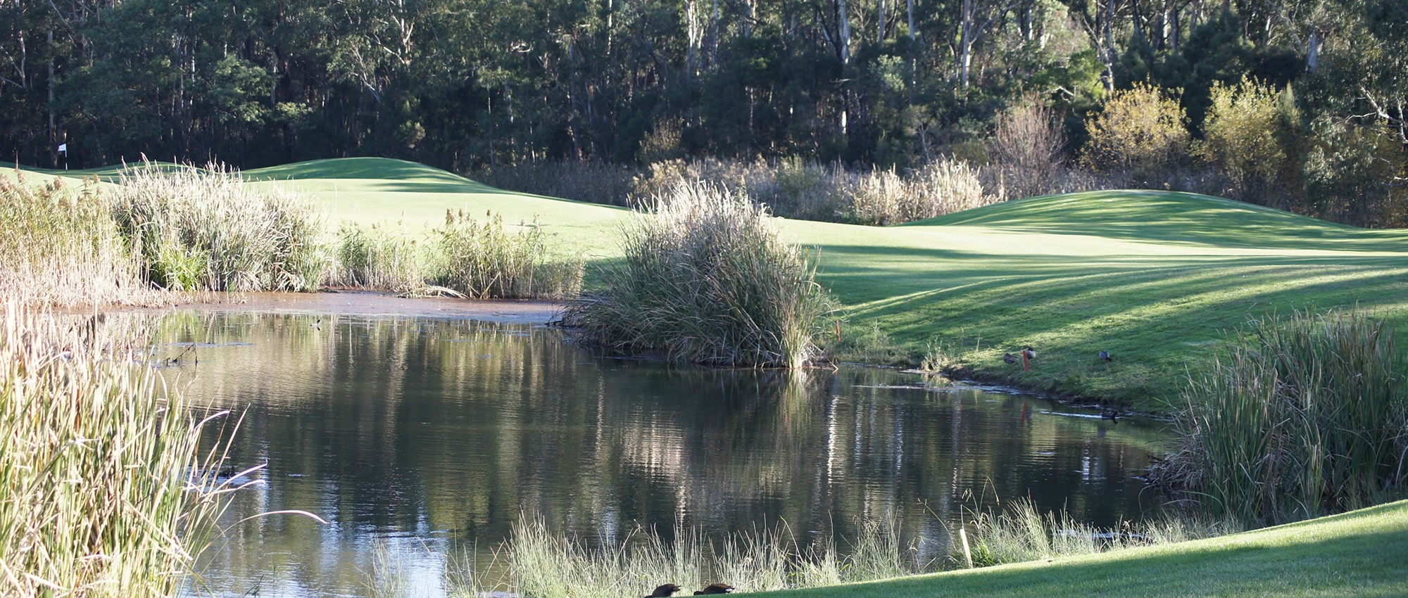 10th Berwick Montuna Golf Club