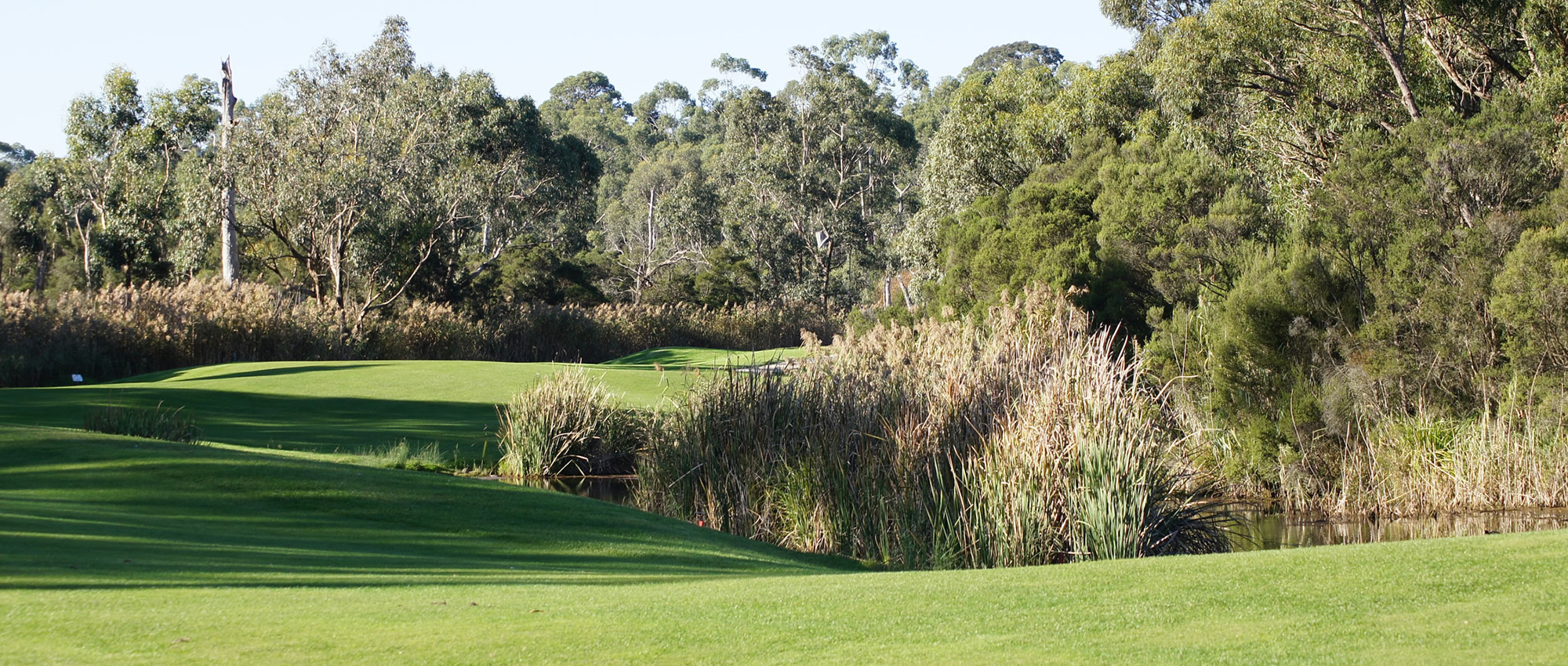 10th Berwick Montuna Golf Club