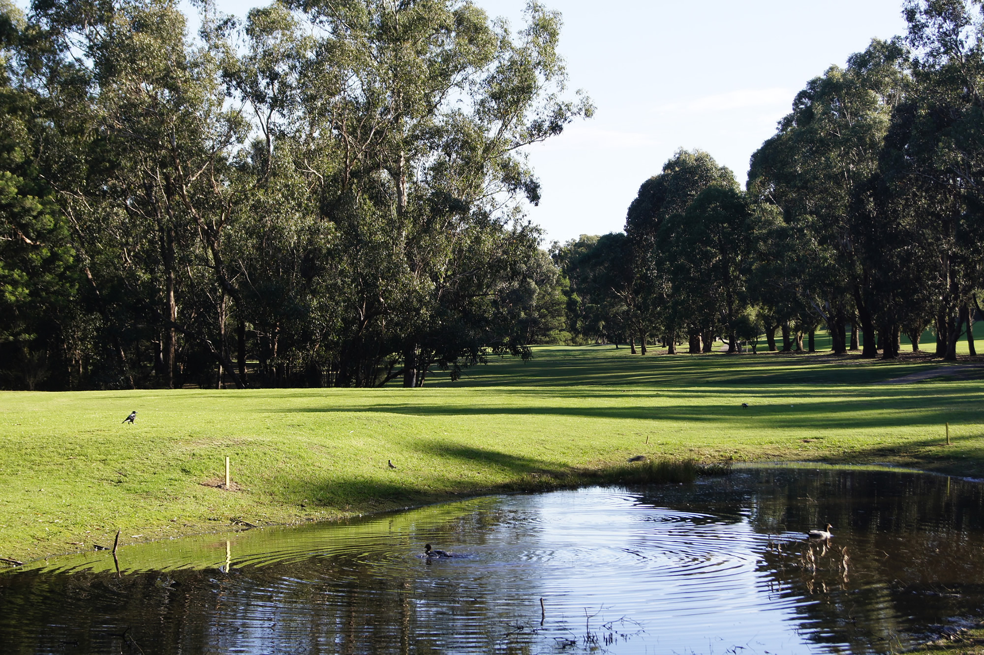 DSC04952 Berwick Montuna Golf Club