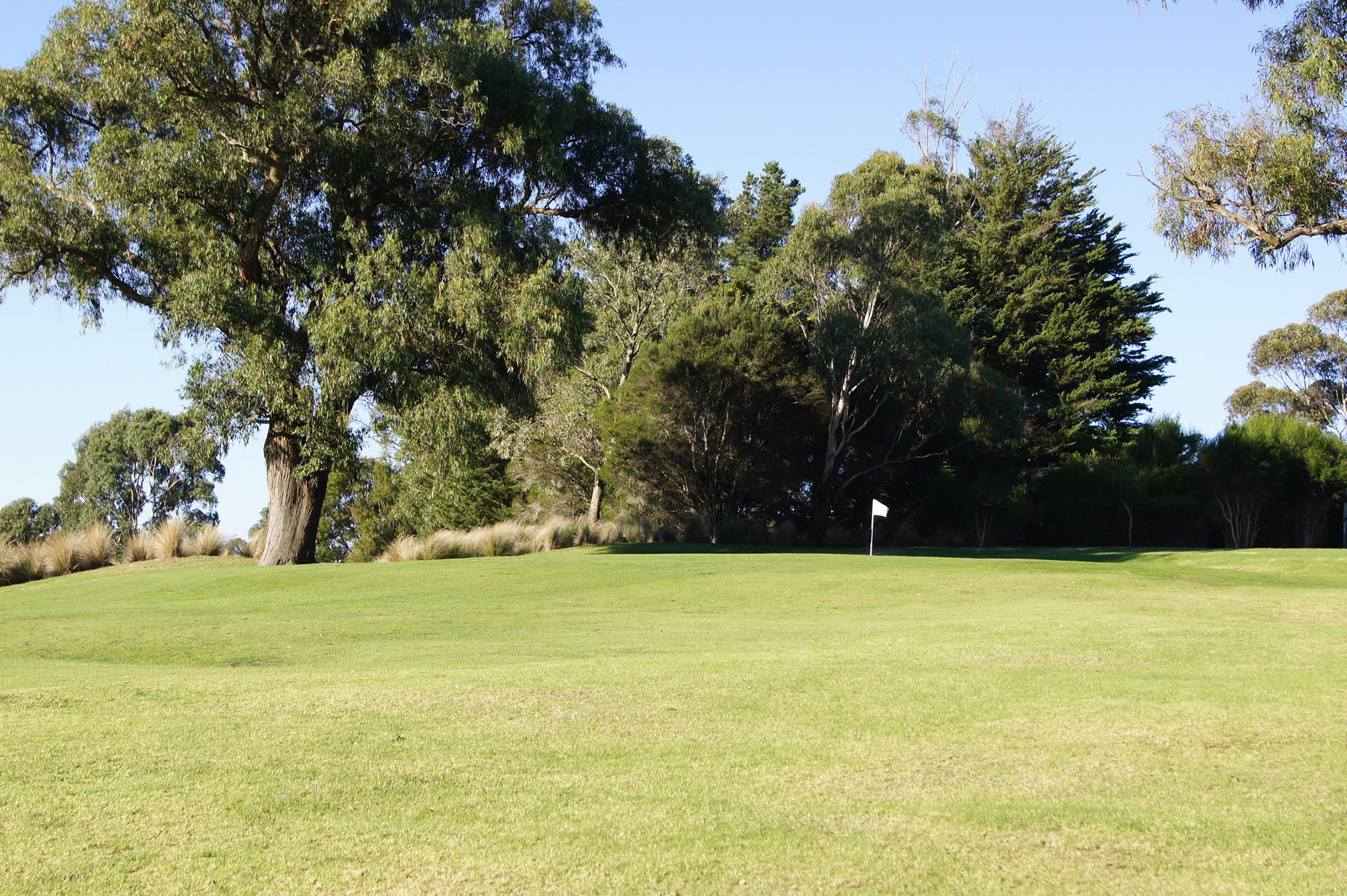 DSC05000 Berwick Montuna Golf Club